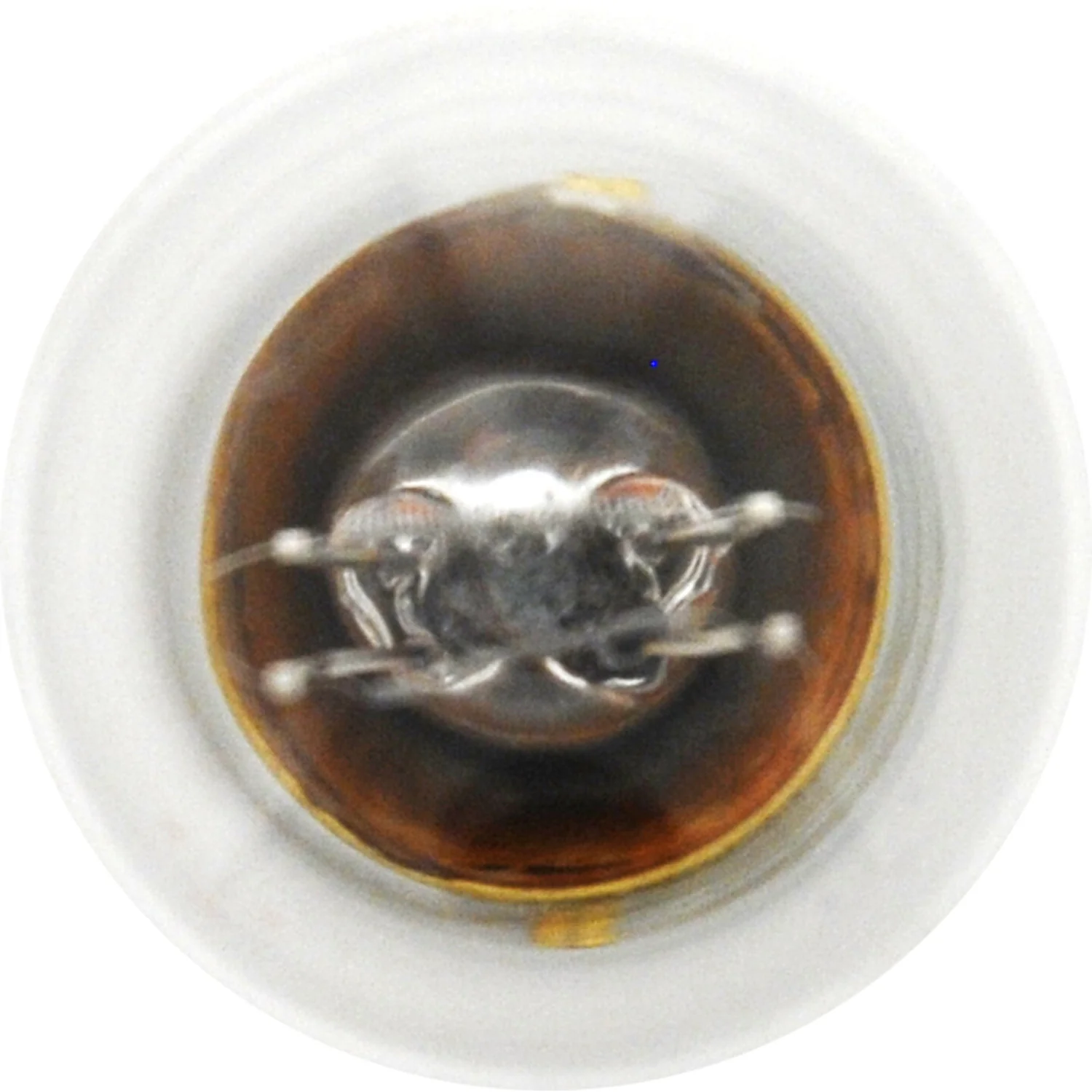 10-PK SYLVANIA 2357 Standard Automotive Light Bulb - Image 4