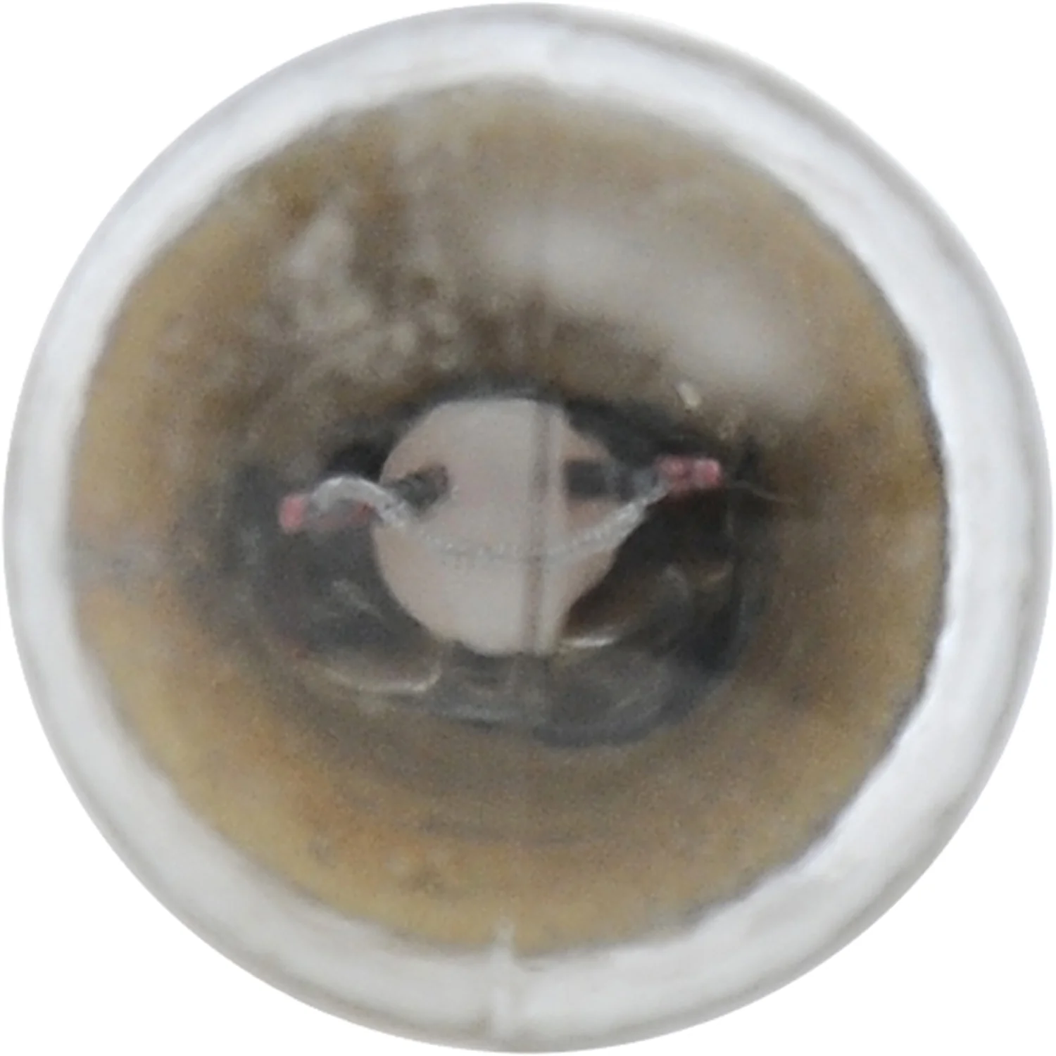 10-PK SYLVANIA 5007.TP Standard Automotive Light Bulb - Image 4
