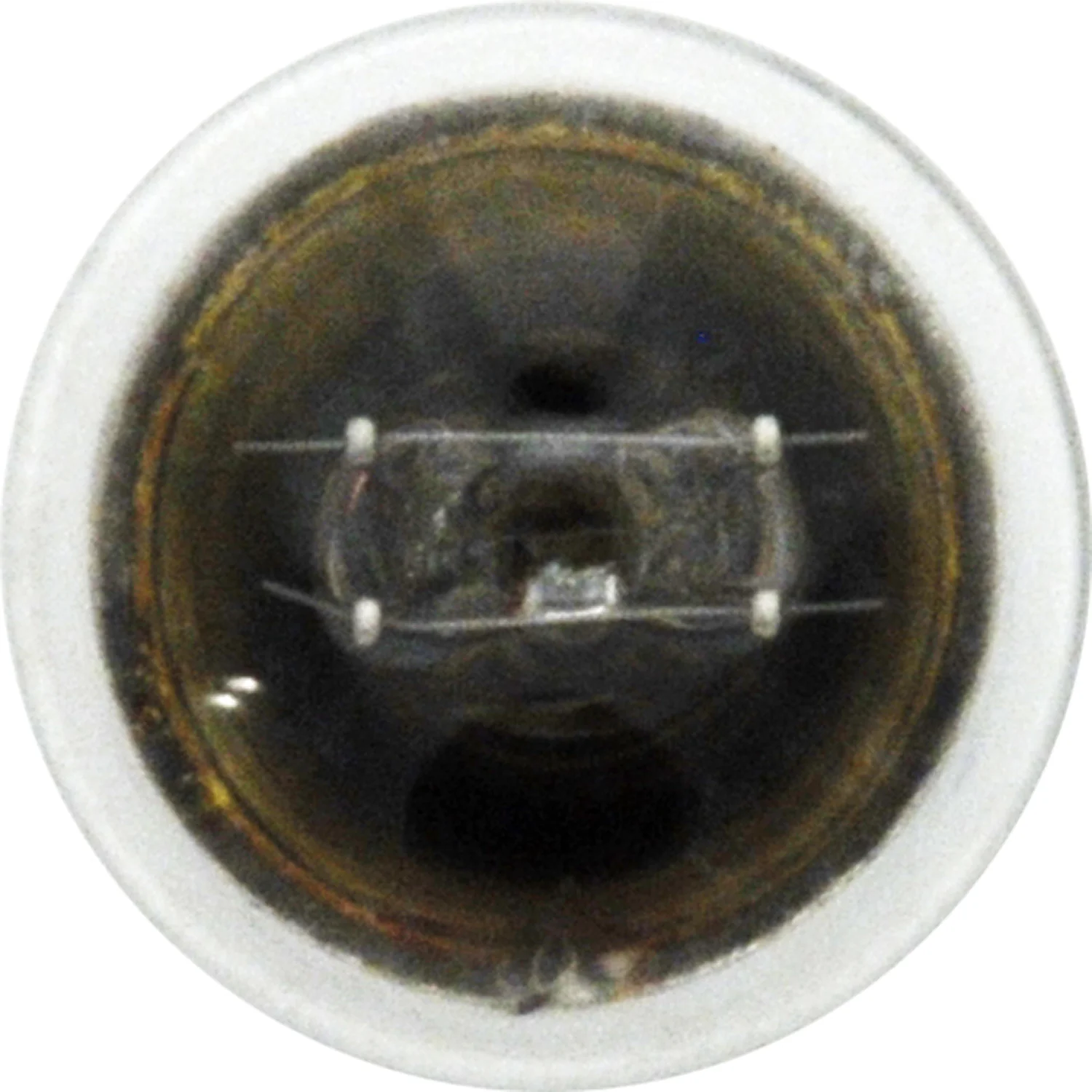 10-PK SYLVANIA 631 Standard Automotive Light Bulb - Image 4