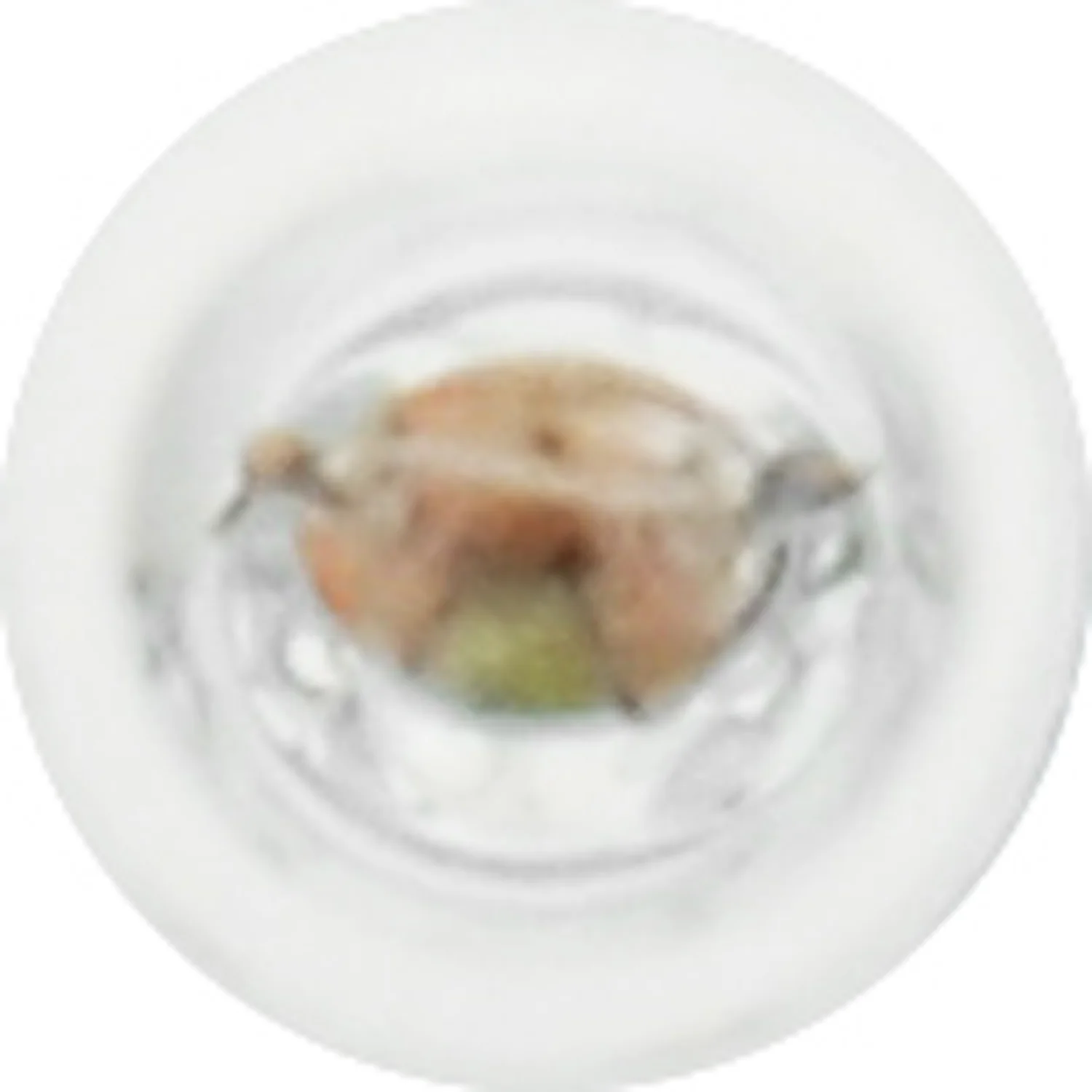 10-PK SYLVANIA 73 Standard Automotive Light Bulb - Image 4