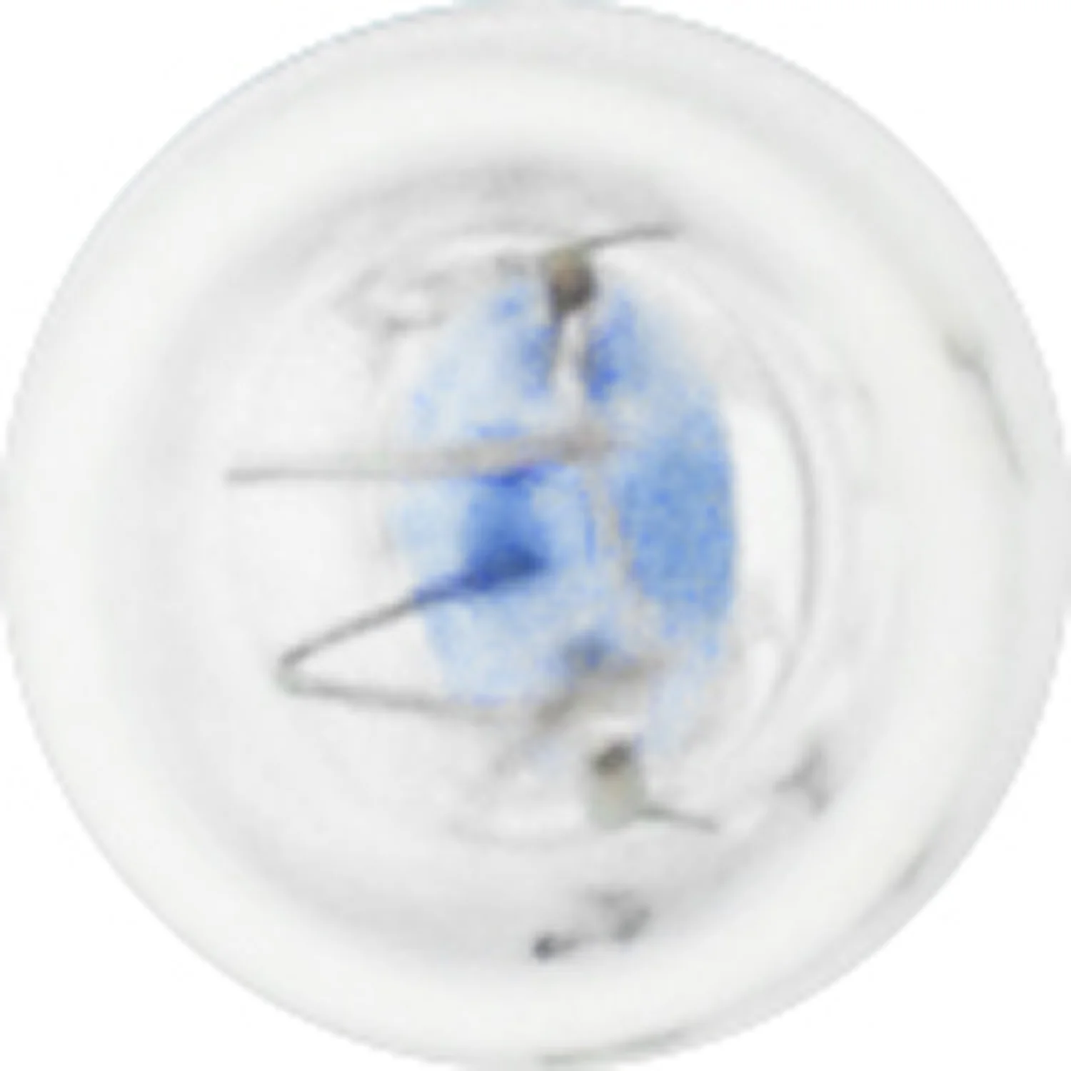 10-PK SYLVANIA 74 Standard Automotive Light Bulb - Image 4
