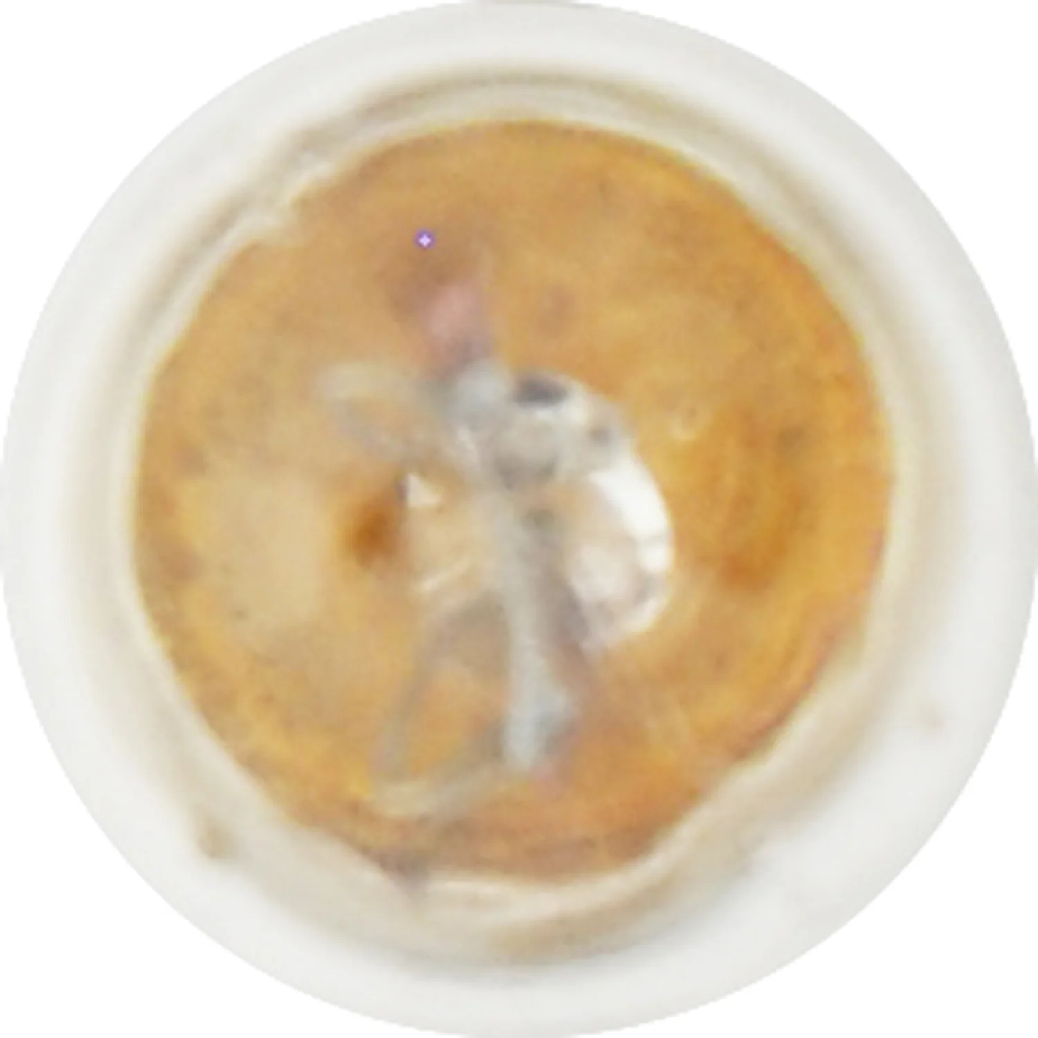 2-PK SYLVANIA 1893 Standard Automotive Light Bulb - Image 4