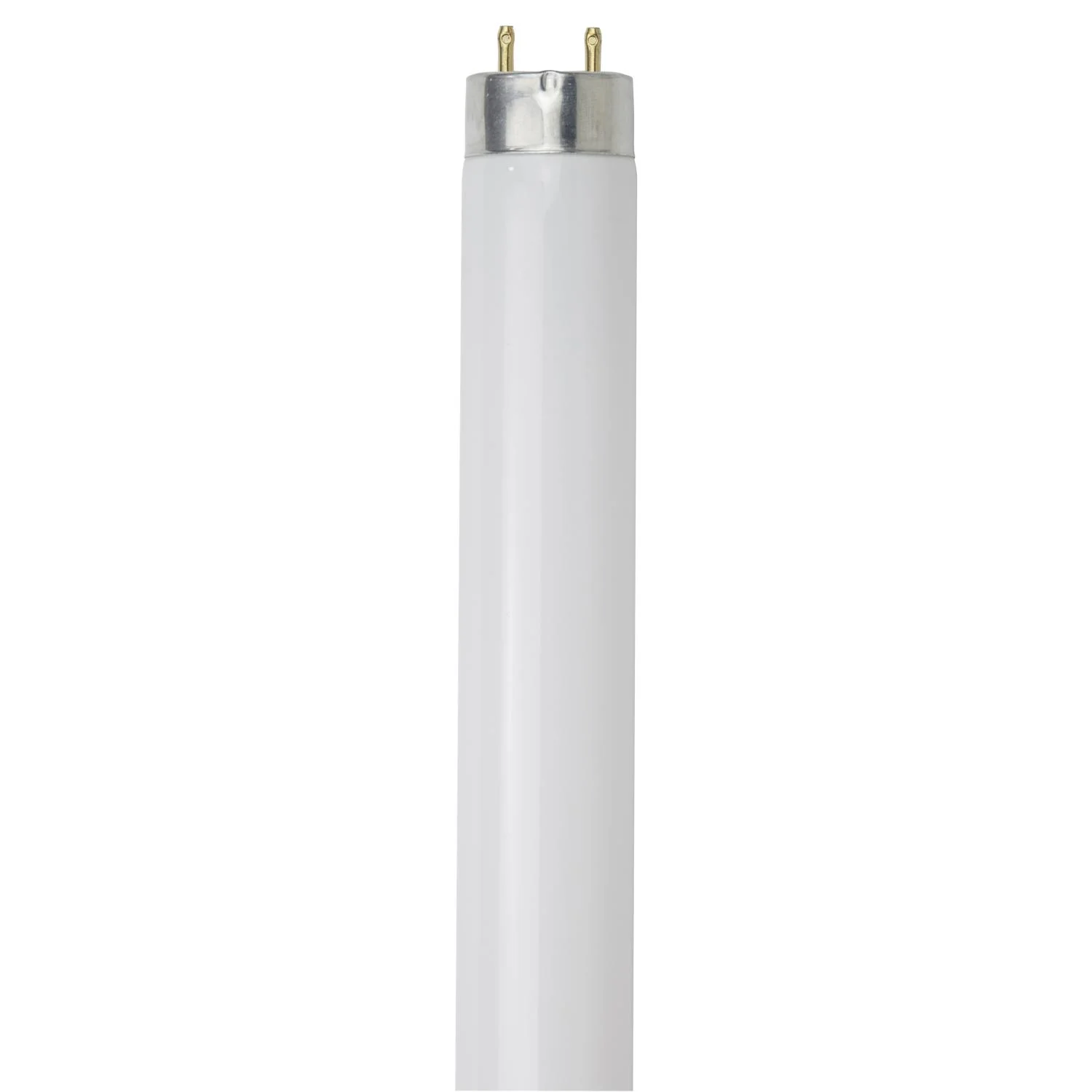 30PK - SUNLITE 25w T8 36inch 6500K High Performance G13 Base Fluorescent Tube