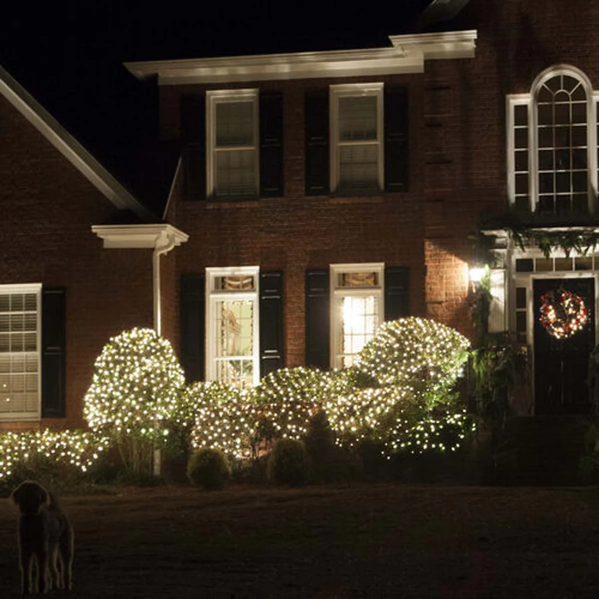 4' x 6' Clear Christmas Net Lights, 150 Lamps - Image 6
