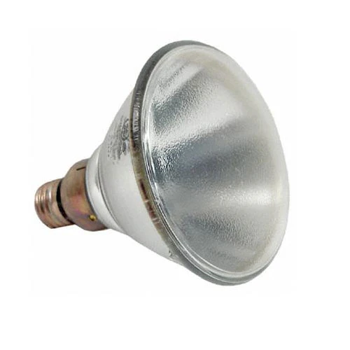 GE 70w PAR38 E26 HID Bulb