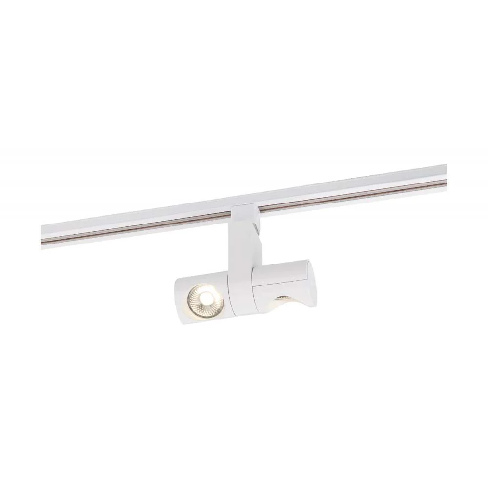 LED 24w Track Head Dual Pipe White 24 deg. Beam Angle 120v