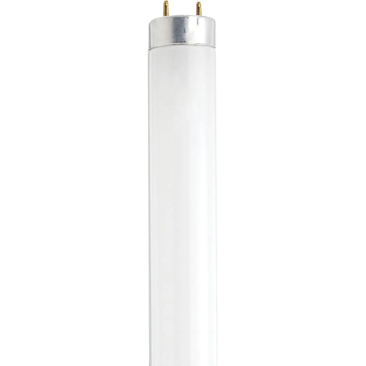Satco 12-in 13w T8 Fluorescent 4100K 400Lm G13 Bi Pin base Linear Bulb