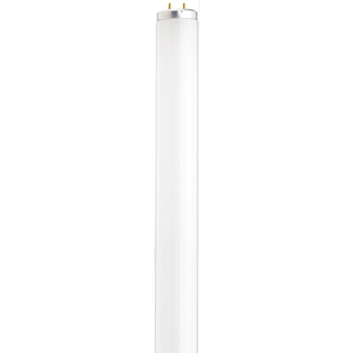 Satco 18-in 15w T12 Fluorescent 6500K Daylight G13 Bi Pin base Tube Bulb