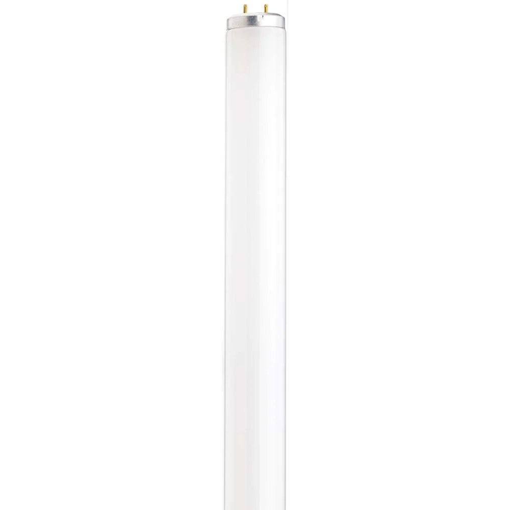 Satco 40w 48-in T12 5000K Daylight Medium Bi-Pin G13 Base Fluorescent Tube