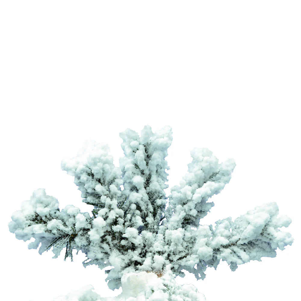 Vickerman 6ft. Flocked Spruce Artificial Christmas Tree Unlit - Image 2