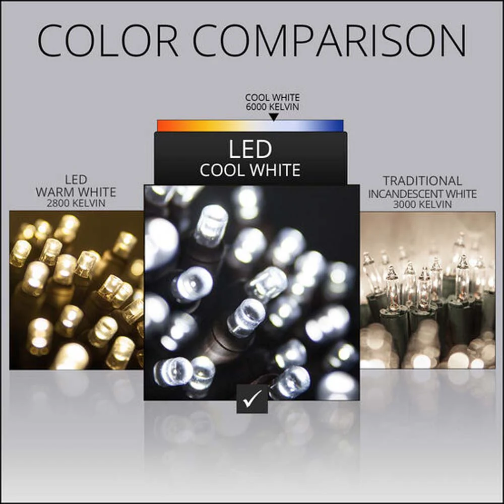 Wintergreen 70 5mm Cool White LED Christmas Lights 4" Spacing  120v - Image 3